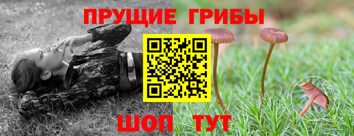 Альметьевск  Псилоцибиновые грибы Magic Shrooms  Вход с VPN 