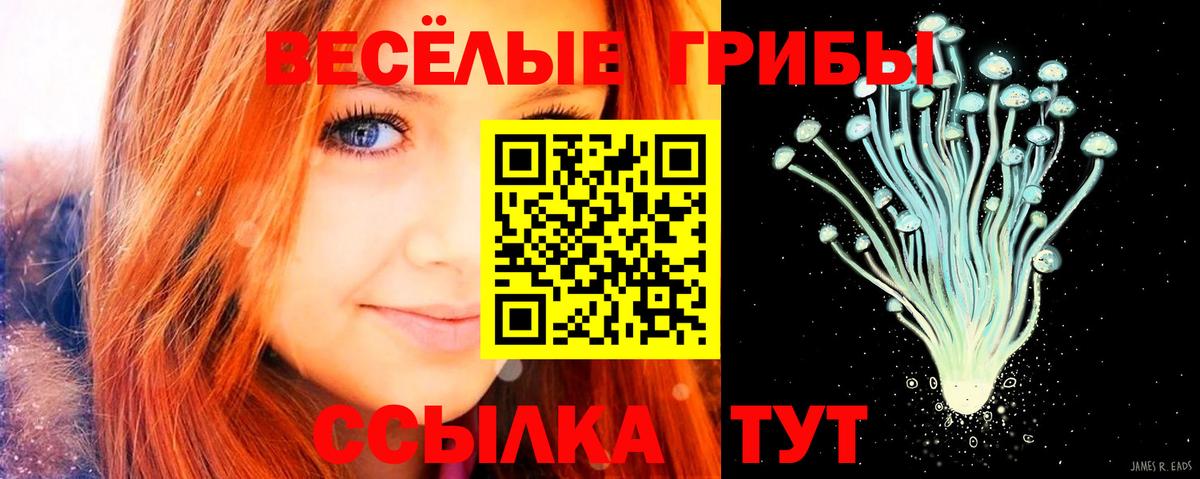 Псилоцибиновые грибы прущие грибы Альметьевск